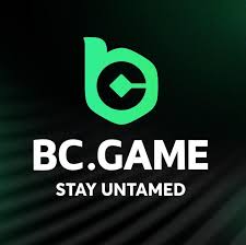 Understanding BC.Game JP Payments A Guide for Players -242720155 Understanding BC.Game JP Payments A Guide for Players -242720155