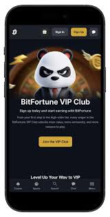 Bitfortune Deposits Understanding Settlement Timing