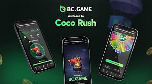 Exploring the Excitement of BC.Game Hub Your Gateway to Online Gaming