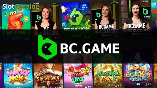Complete Guide to the BC Understanding the Blockchain Ecosystem Complete Guide to the BC Understanding the Blockchain Ecosystem