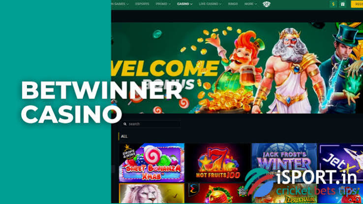 Explore the Excitement at BetWinner Casino